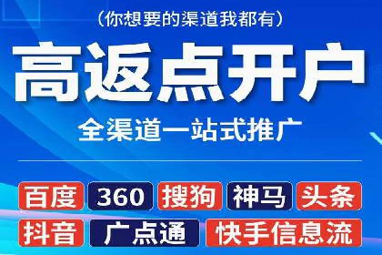 SEM实战案例：案例分析广告效果评估